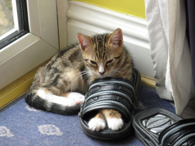 蓝色奇迹踏平诺坎普，特奥临危救主，加冕关键先生